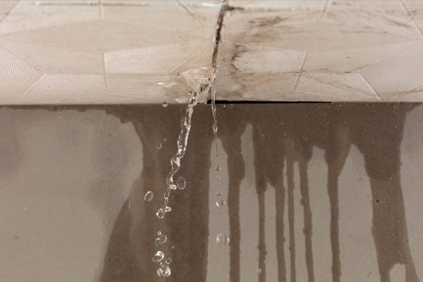Professional Water Damage Repair technician working in Norwood, MA